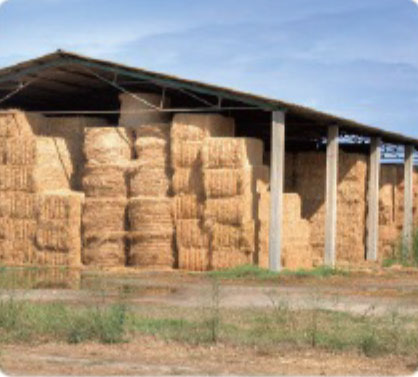 34 Eletric Wheel Loader 805E Application 3