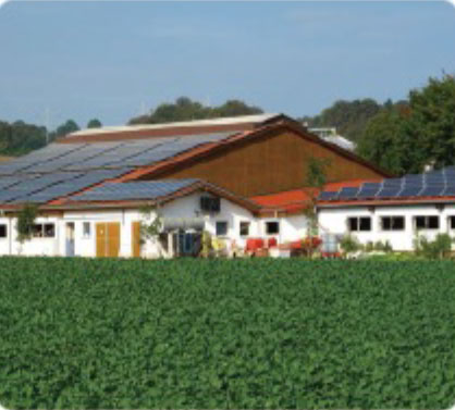 34 Eletric Wheel Loader 805E Application 4