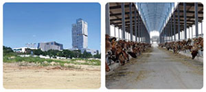 86 Electric Mini Excavator 18E Applications